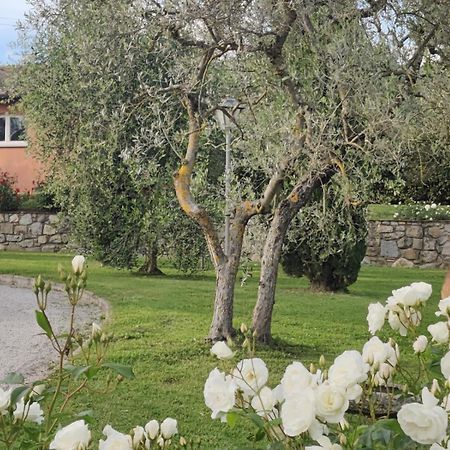 Villa La Casa Delle Rose Terranuova Bracciolini Exterior foto